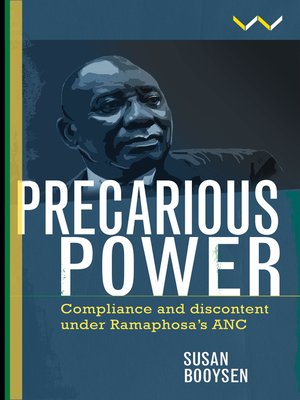 cover image of Precarious Power
